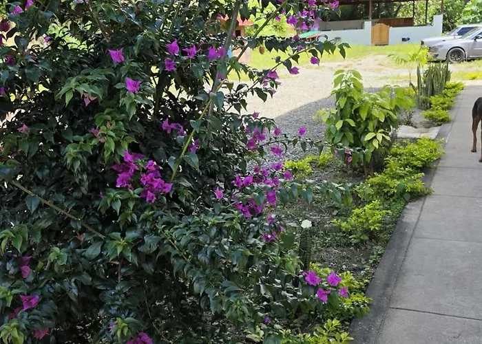 Balcon River Hotel 3*